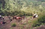    Lalibela - widoki z Asheten Mariam   