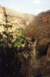    Wadi Qelt   
