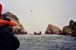    Islas Ballestas   