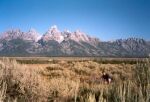    Grand Teton   