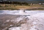    Upper Geyser Basin   