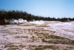    Upper Geyser Basin   