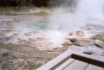    Upper Geyser Basin   