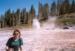    Upper Geyser Basin   