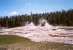    Upper Geyser Basin   