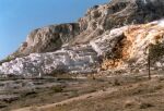    Mammoth Hot Springs   