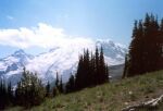    Mount Rainier   
