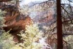    szlak Canyon Overlook Trail   