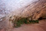    szlak Canyon Overlook Trail   