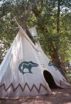    tipi   