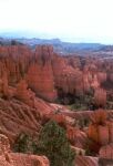    Navajo Trail   